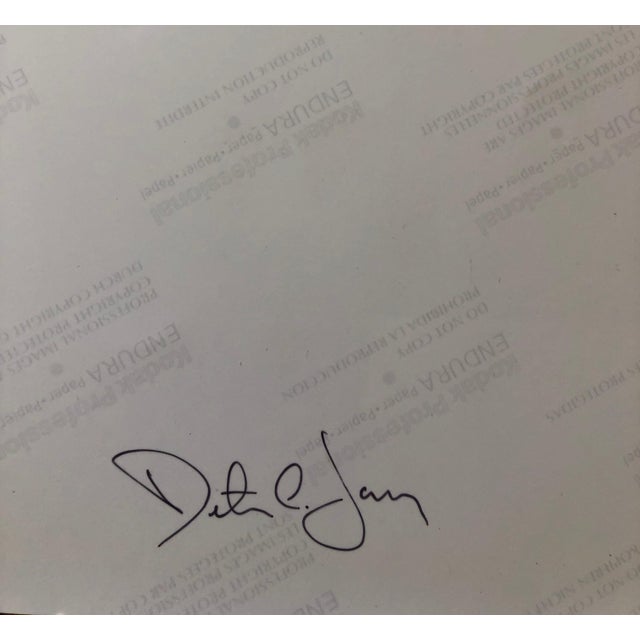 Peter C. Jones 1, Scepter'd Isle Rose Large Format Flower Photo 24X20 Color Photograph Beach House, 2005 For Sale - Image 4 of 5