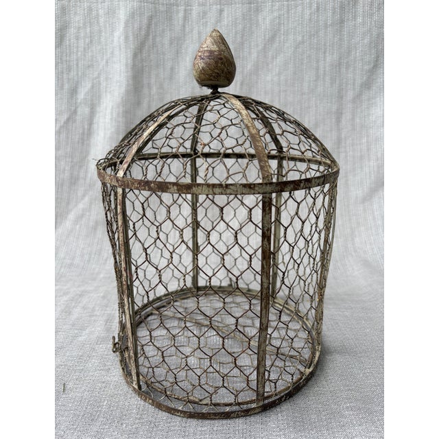 Vintage Indoor Wire Birdcage Garden Cloche For Sale - Image 11 of 17