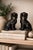 19th Century Staffordshire Jackfield Black Spaniels / Dogs For Sale - Image 4 of 5