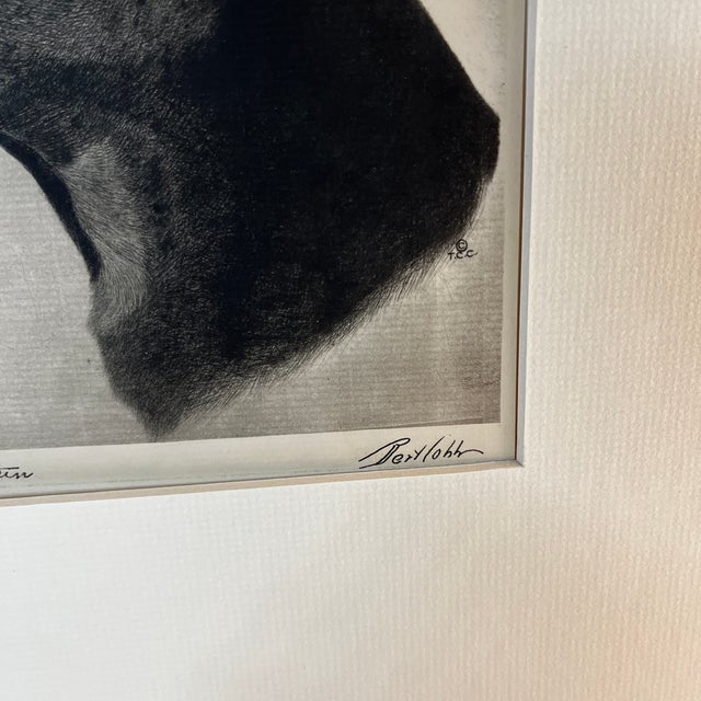 1931 German Shepherd Dog Print For Sale - Image 4 of 4