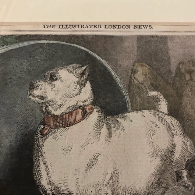 19th Century Dog Engraving by Alfred Harral After Landseer Framed For Sale - Image 4 of 8