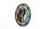 A vibrant Belgian Art Deco stained‑glass roundel from around 1900, centred with a lively portrait of a Boxer dog rendered...