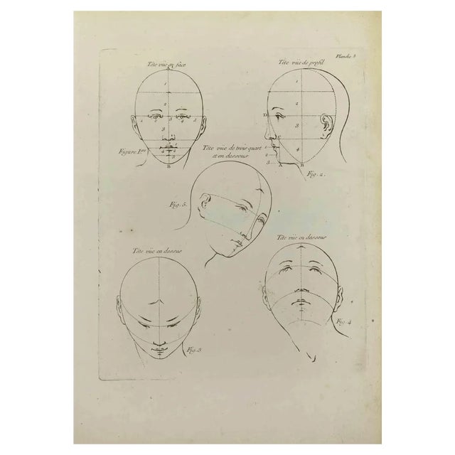 Jean François Poletnich, Heads Proportion, Etching, 1755 For Sale