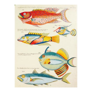 Figurative Poster, Fish For Sale