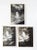 Mid 20th Century Vintage Waterfall & Landscape Photographs - Set of 3 For Sale - Image 5 of 5