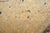 Textile Antique Zabihi Collection Ivory Hadji Jal Li Tabriz Rug - 8'11" x 12' For Sale - Image 7 of 12