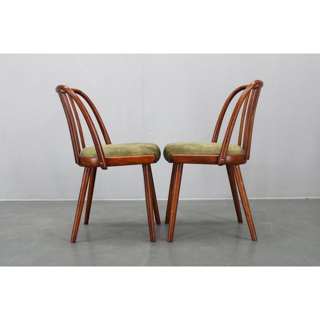 Mid-Century Modern Beech Dining Chairs, 1960s, Set of 4 For Sale - Image 6 of 17