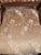 19th Century Victorian Eastlake Carved Walnut Upholstered Side Chair For Sale - Image 15 of 18