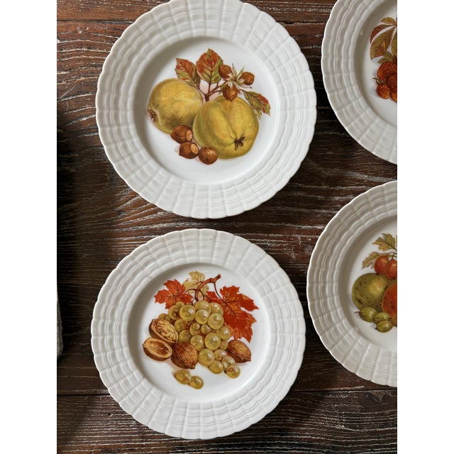 Illustration Vintage Hutschenreuther German Fruit Plates – Set of 6 For Sale - Image 3 of 12