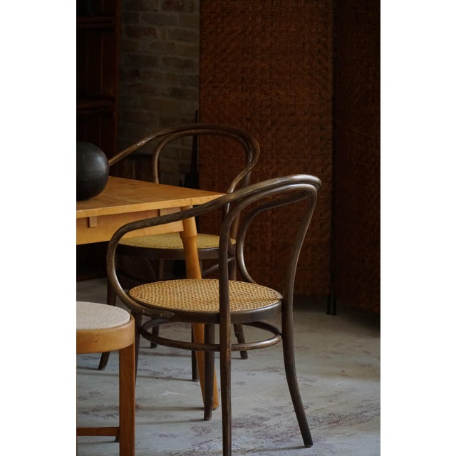 Wood Mid-Century Vienna Chairs in Beech & Cane by ZPM Radomsko for Thonet 1960s, Set of 6 For Sale - Image 7 of 18