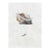 Antique British Insect Handcolored Engraving For Sale