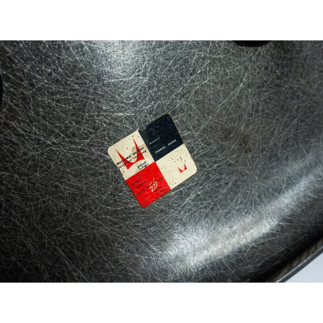Metal Eames Herman Miller Zenith Lax Rope Edge X-Base Elephant Hide Gray Chair 1950s For Sale - Image 7 of 8