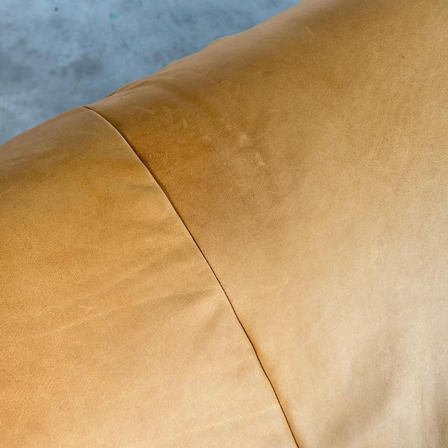 Papillon Lounge Chairs in Cognac Leather by Guido Maria Rosati for Giovannetti, 1972, Set of 2 For Sale - Image 10 of 18