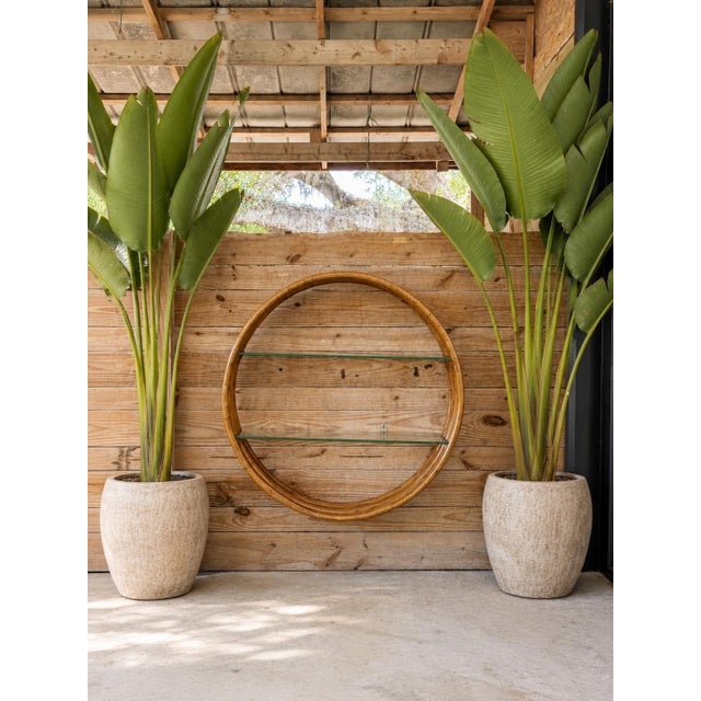 Monumental Vintage Bent Rattan Circular Wall Shelf Manner of Paul Frankl For Sale - Image 12 of 12