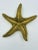 This fantastic brass starfish sculpture is so realistically detailed from the top to bottom that it must have been modeled...