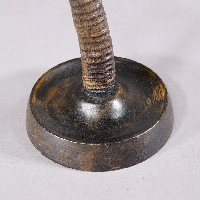 Late 19th Century A Pair Lovely Antique Candle Holders With Chamois Horns For Sale - Image 5 of 5
