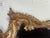 Rococo 19th C. Italian Rococo Style Mirror For Sale - Image 3 of 13