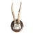 Roe Deer Trophy 189 Black Forest Antlers For Sale