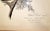 Antique White Late 19th Century John J. Aububon Bird Reproduction Print For Sale - Image 8 of 8