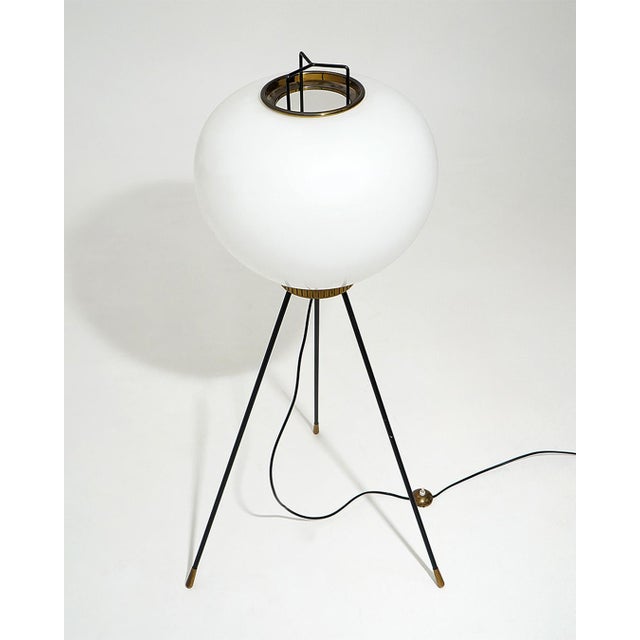 Mid-Century Modern GlassTripod Floor Lamp from Stilnovo, 1950s For Sale - Image 3 of 16