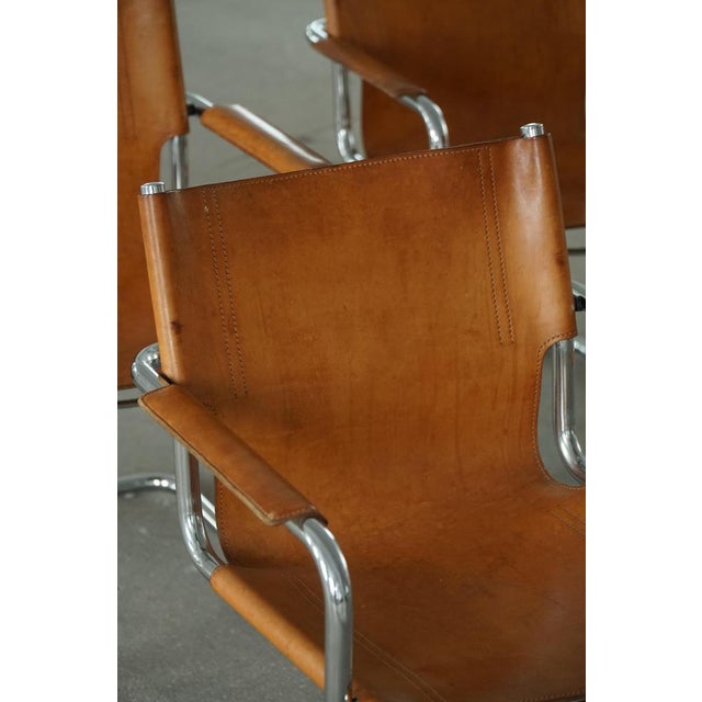Matteo Grassi Vintage Cantilever Armchairs in Cognac Leather by Mart Stam for Matteo Grassi, 1960s, Set of 6 For Sale - Image 4 of 18