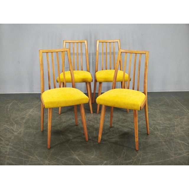 Mid-Century Modern Beech Dining Chairs from TON, Czechoslovakia, 1970s, Set of 4 For Sale - Image 15 of 16