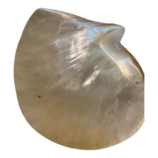 1990s G Lorenzi Milan Mop Caviar Serving Dish For Sale