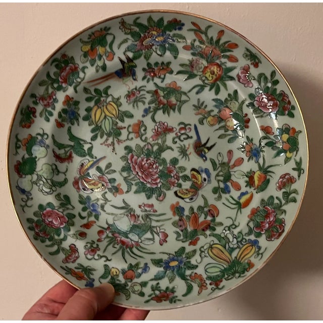Antique 19th century Chinese export porcelain famille rose plate decorated with birds and butterflies on a celadon ground....