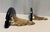 1970s Hollywood Regency Brass and Black Lacquer Shell Sconces - A Pair For Sale In Mobile - Image 6 of 8