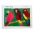 Walasse Ting (1929–2010), 3 Perroquets, Galerie Lucie Weill-Seligmann, Copyright 1989, Yves Riviera Editeur, Paris, Printed in Switzerland For Sale