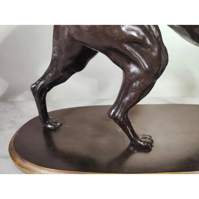 Metal Large Art Deco Greyhound Dog in Bronze, 1900s For Sale - Image 7 of 13