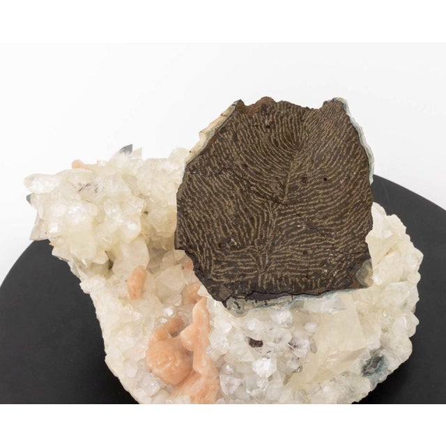 White Celestite, Calcite, and Quartz Crystal Specimen For Sale - Image 8 of 14