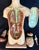 Peach Antique Medical Human Anatomy Dissected Teaching Female German Model Hand Painted For Sale - Image 8 of 18