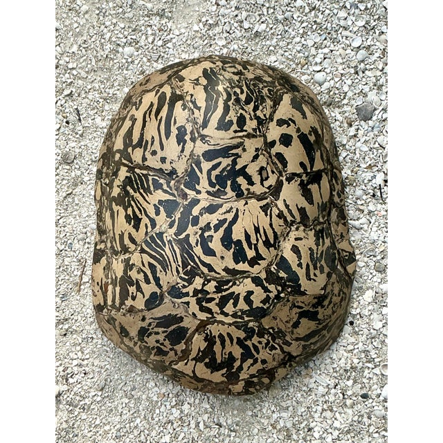 Vintage Boho Artisanal Pigmented Plaster Turtle Shell For Sale - Image 9 of 12