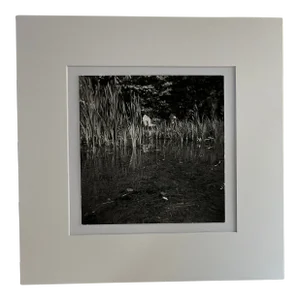 Contemporary Original Adirondack Chair Photo Print