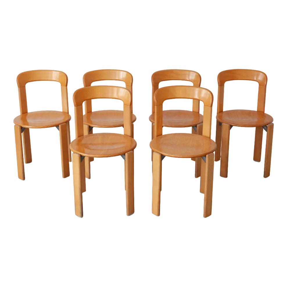 Dining Chairs by Bruno Ray for Dietiker AG Suisse, 1970s, Set of 6 ...