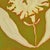 suits preppy, dopamine, grandmillennial, Palm Beach, eclectic and modern botanical interiors. Details Original painting,...