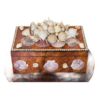 1970s Large Impressive Sra Shell Encrusted Humidor Wood Box For Sale