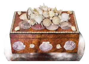 1970s Large Impressive Sra Shell Encrusted Humidor Wood Box