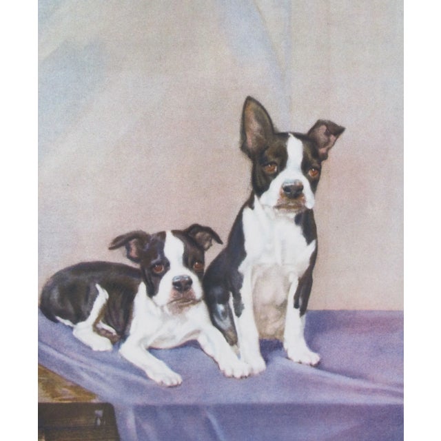 Art Deco Vintage Diana Thorne Print - Bulldogs For Sale - Image 3 of 3