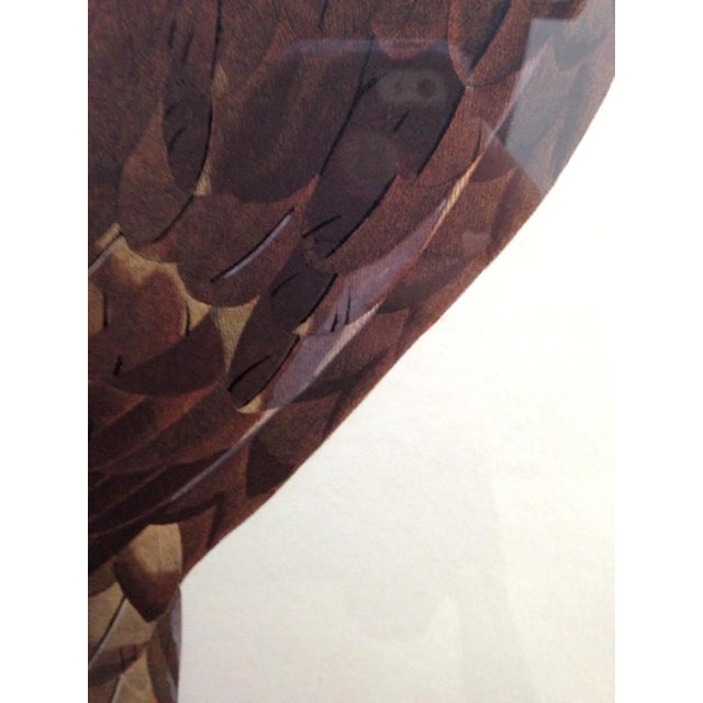 Early 19th Century Eagle of Thebes, Large Hand-Colored Engraving From Napoleon’s Description De L’Égypte For Sale - Image 5 of 10