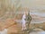 Tomasz Steifer, Surrealist Landscape with Figures, Oil on Panel, Framed For Sale - Image 9 of 14