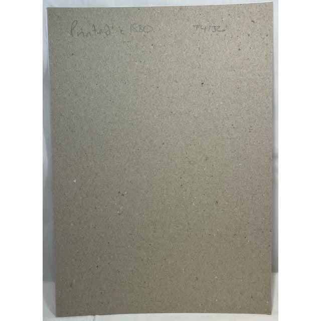 Antique Hand Tinted Bird Print From England Featuring a Yellow Colored Siskin - Circa 1880 For Sale - Image 11 of 11