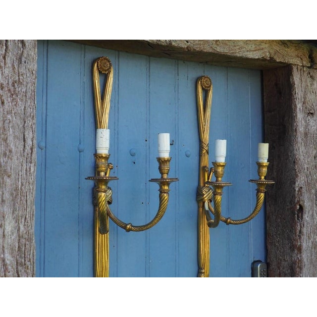 Large Antique Louis XVI Style Rope Tassel Wall Lights in Gilt Bronze, 1890s, Set of 2 For Sale - Image 4 of 18