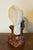 Japanese Antique 19th Century Japanese Meiji Porcelain Figure of a Hawk For Sale - Image 3 of 14