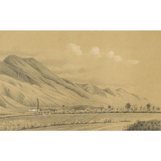 Antique Caracas in Venezuela Landscape of Monte Ávila, 1888 For Sale - Image 3 of 9