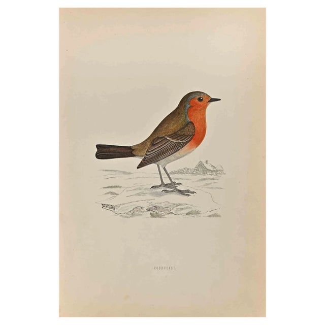Alexander Francis Lydon, Redbreast, Woodcut Print, 1870 For Sale