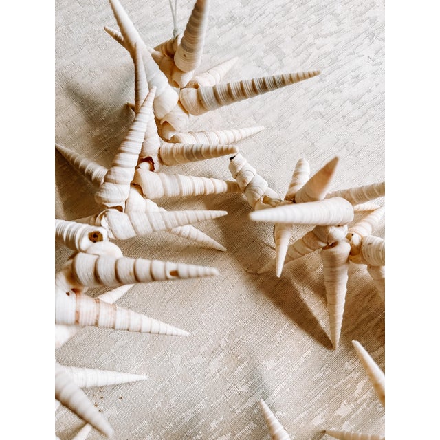 Shell Vintage Costal Sea Shell Garland Table Decor or Holiday Decor For Sale - Image 7 of 9
