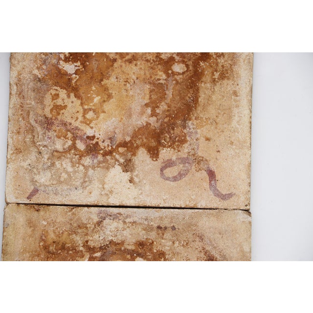 19th Century Set of Two Tiles Depicting Branches of Trees, Portuguese Baroque For Sale - Image 13 of 13