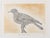 Maria PALETTA The Carrier Pigeon Original color etching Signed and dated in pencil Limited edition of 50, this is number 3...